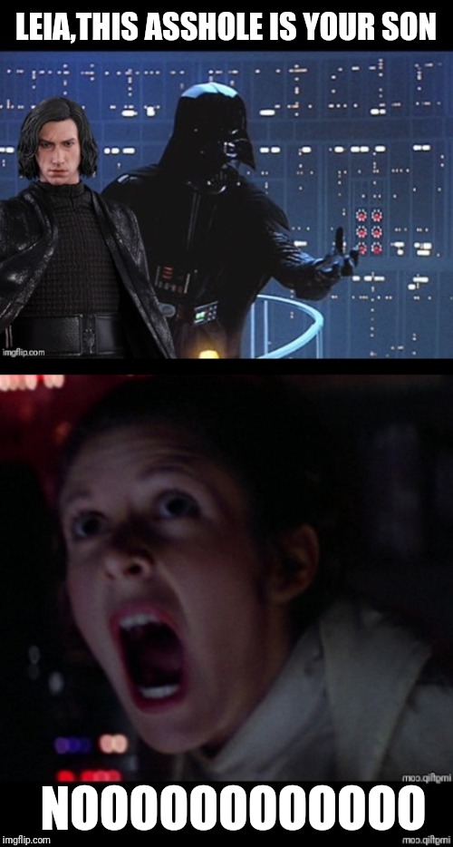 Star Wars Leia no | LEIA,THIS ASSHOLE IS YOUR SON; NOOOOOOOOOOOO | image tagged in memes,star wars no,princess leia,kylo ren | made w/ Imgflip meme maker