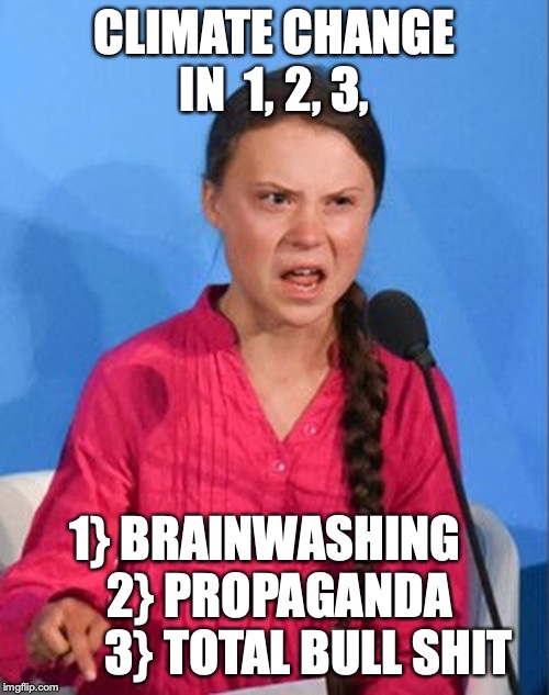 Greta Thunberg how dare you | CLIMATE CHANGE IN  1, 2, 3, 1} BRAINWASHING       2} PROPAGANDA           3} TOTAL BULL SHIT | image tagged in greta thunberg how dare you | made w/ Imgflip meme maker