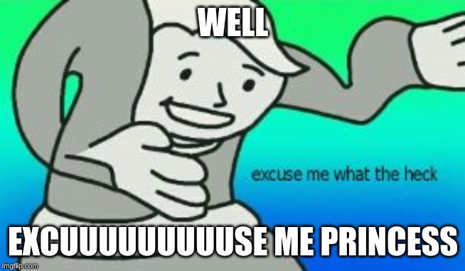 Excuse Me What The Heck | WELL; EXCUUUUUUUUUSE ME PRINCESS | image tagged in excuse me what the heck | made w/ Imgflip meme maker