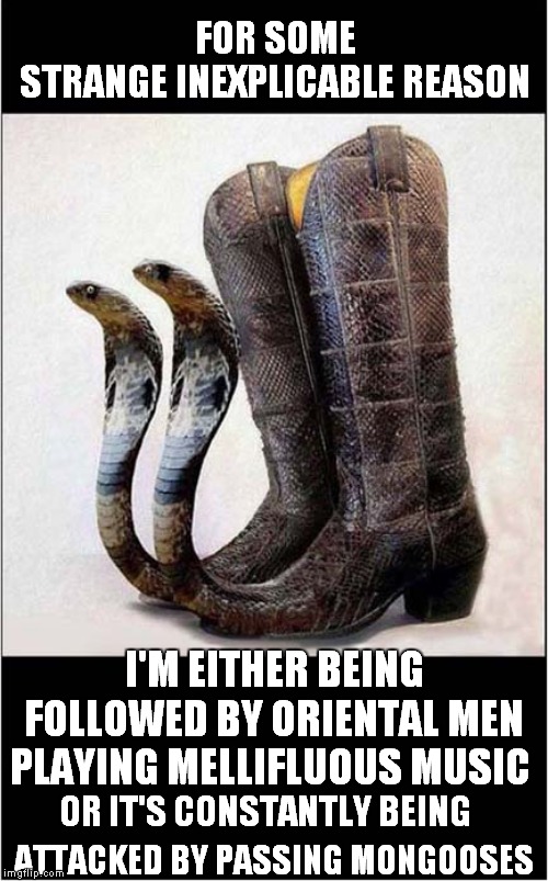 These Boots Were Made For Walking | FOR SOME STRANGE INEXPLICABLE REASON; I'M EITHER BEING FOLLOWED BY ORIENTAL MEN PLAYING MELLIFLUOUS MUSIC; ATTACKED BY PASSING MONGOOSES; OR IT'S CONSTANTLY BEING | image tagged in fun,snakes | made w/ Imgflip meme maker