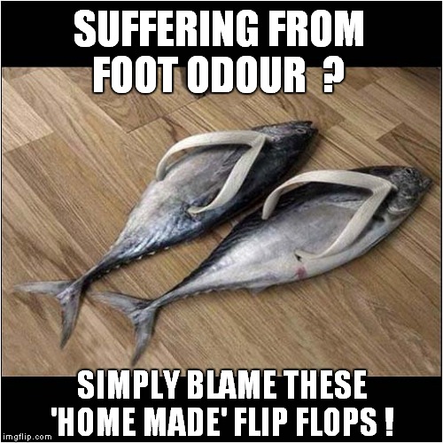 Fishy Flip Flops | SUFFERING FROM FOOT ODOUR  ? SIMPLY BLAME THESE 'HOME MADE' FLIP FLOPS ! | image tagged in fun,footware | made w/ Imgflip meme maker