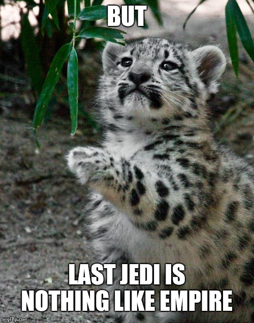 WAIT WHAT LEOPARD | BUT LAST JEDI IS NOTHING LIKE EMPIRE | image tagged in wait what leopard | made w/ Imgflip meme maker