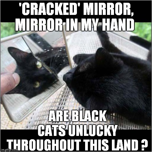 Black Cats ? | 'CRACKED' MIRROR, MIRROR IN MY HAND; ARE BLACK CATS UNLUCKY THROUGHOUT THIS LAND ? | image tagged in cats,black cat,halloween | made w/ Imgflip meme maker