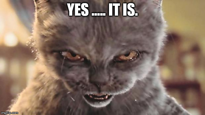Evil Cat | YES ..... IT IS. | image tagged in evil cat | made w/ Imgflip meme maker