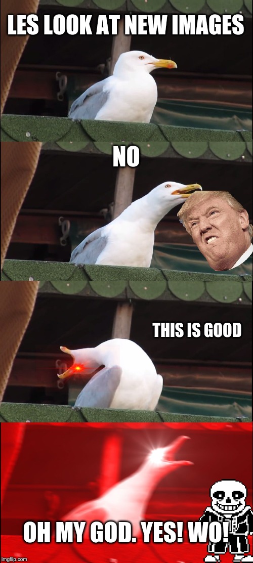 Inhaling Seagull Meme | LES LOOK AT NEW IMAGES; NO; THIS IS GOOD; OH MY GOD. YES! WO! | image tagged in memes,inhaling seagull | made w/ Imgflip meme maker