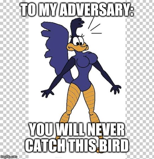 Lady luck smile on me | TO MY ADVERSARY:; YOU WILL NEVER CATCH THIS BIRD | image tagged in road runner,female logix,predator | made w/ Imgflip meme maker