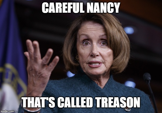 Good old Nancy Pelosi | CAREFUL NANCY; THAT'S CALLED TREASON | image tagged in good old nancy pelosi | made w/ Imgflip meme maker