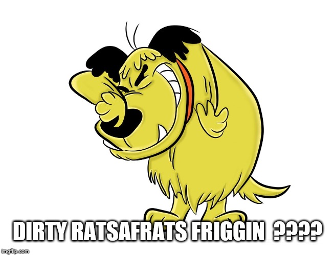 DIRTY RATSAFRATS FRIGGIN  ???? | image tagged in muttley memes | made w/ Imgflip meme maker