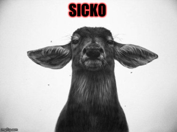 SICKO | made w/ Imgflip meme maker