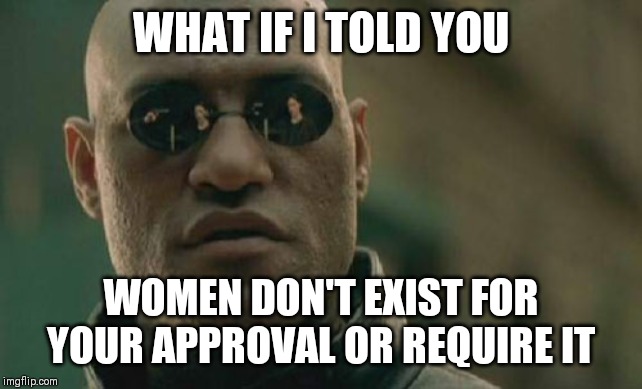 Matrix Morpheus Meme | WHAT IF I TOLD YOU; WOMEN DON'T EXIST FOR YOUR APPROVAL OR REQUIRE IT | image tagged in memes,matrix morpheus | made w/ Imgflip meme maker