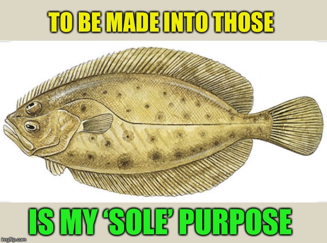 TO BE MADE INTO THOSE IS MY ‘SOLE’ PURPOSE | made w/ Imgflip meme maker
