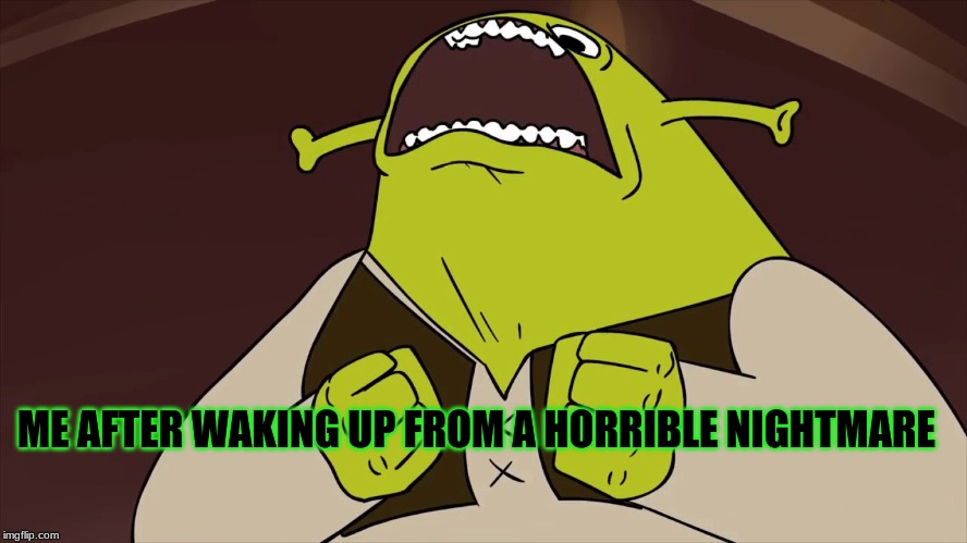 shrek | ME AFTER WAKING UP FROM A HORRIBLE NIGHTMARE | image tagged in fun | made w/ Imgflip meme maker