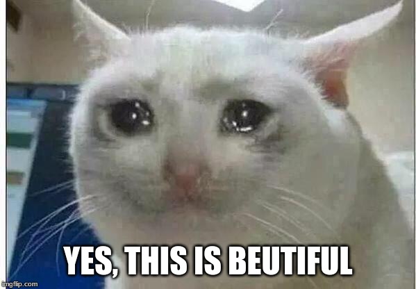 crying cat | YES, THIS IS BEUTIFUL | image tagged in crying cat | made w/ Imgflip meme maker