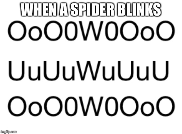 OwO
UwU
OwO | WHEN A SPIDER BLINKS | image tagged in uwu,coworkers | made w/ Imgflip meme maker