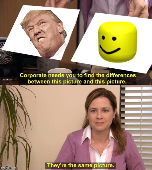 They're the same picture meme | image tagged in they're the same picture meme | made w/ Imgflip meme maker
