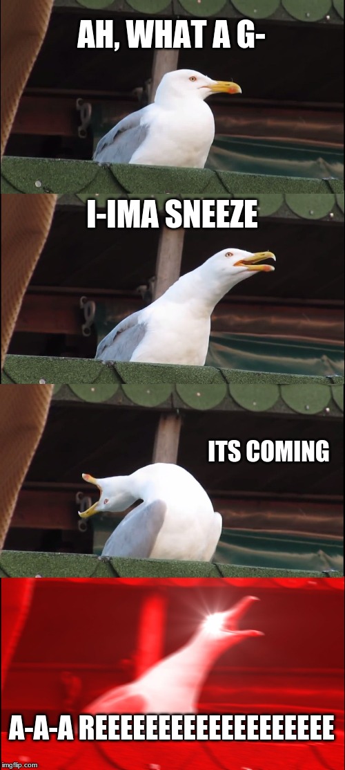 Inhaling Seagull | AH, WHAT A G-; I-IMA SNEEZE; ITS COMING; A-A-A REEEEEEEEEEEEEEEEEEE | image tagged in memes,inhaling seagull | made w/ Imgflip meme maker