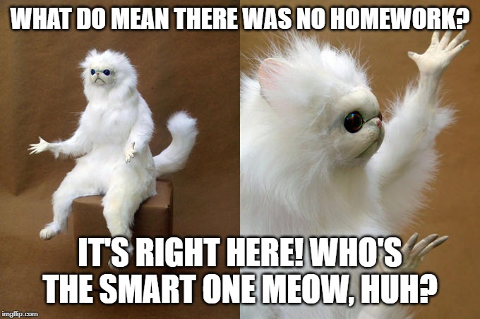 Persian Cat Room Guardian | WHAT DO MEAN THERE WAS NO HOMEWORK? IT'S RIGHT HERE! WHO'S THE SMART ONE MEOW, HUH? | image tagged in memes,persian cat room guardian | made w/ Imgflip meme maker