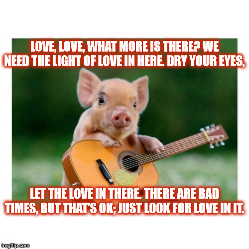 DMB Pig | LOVE, LOVE, WHAT MORE IS THERE? WE NEED THE LIGHT OF LOVE IN HERE. DRY YOUR EYES, LET THE LOVE IN THERE. THERE ARE BAD TIMES, BUT THAT’S OK; JUST LOOK FOR LOVE IN IT. | image tagged in dmb,dave matthews band,pig,piglet,love,okay | made w/ Imgflip meme maker