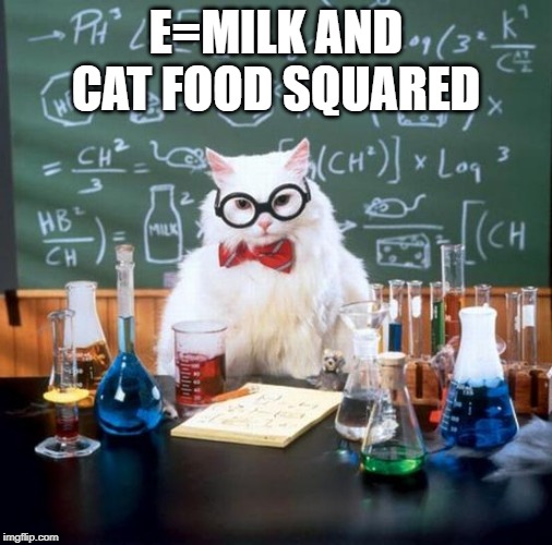 Chemistry Cat | E=MILK AND CAT FOOD SQUARED | image tagged in memes,chemistry cat | made w/ Imgflip meme maker