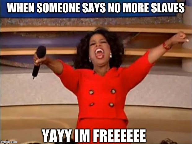 Oprah You Get A Meme | WHEN SOMEONE SAYS NO MORE SLAVES; YAYY IM FREEEEEE | image tagged in memes,oprah you get a | made w/ Imgflip meme maker