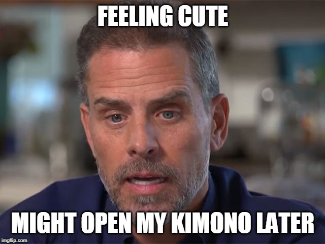 Open My Kimono | FEELING CUTE; MIGHT OPEN MY KIMONO LATER | image tagged in politics | made w/ Imgflip meme maker