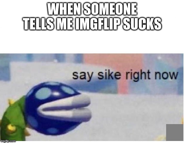 say sike right now | WHEN SOMEONE TELLS ME IMGFLIP SUCKS | image tagged in say sike right now | made w/ Imgflip meme maker