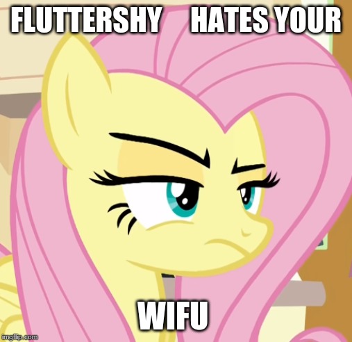 FLUTTERSHY     HATES YOUR; WIFU | image tagged in fluttershy,mlp,memes,anime | made w/ Imgflip meme maker