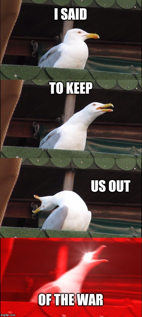 Inhaling Seagull Meme | I SAID; TO KEEP; US OUT; OF THE WAR | image tagged in memes,inhaling seagull | made w/ Imgflip meme maker