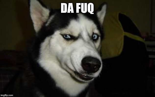 Da Fuq? Dog | DA FUQ | image tagged in da fuq dog | made w/ Imgflip meme maker