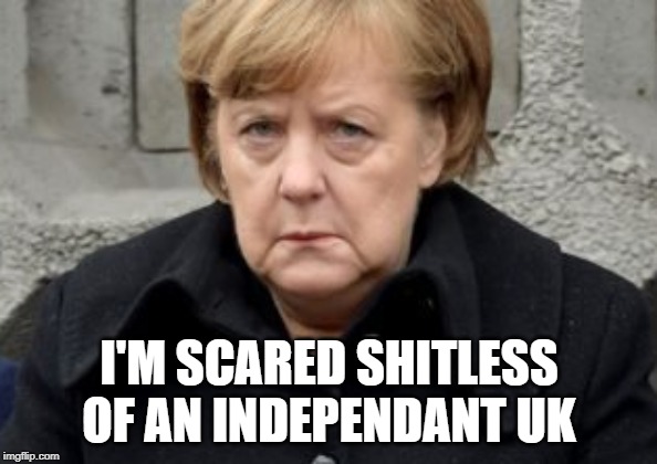 Angela Merkel | I'M SCARED SHITLESS OF AN INDEPENDANT UK | image tagged in angela merkel | made w/ Imgflip meme maker