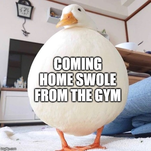 COMING HOME SWOLE FROM THE GYM | made w/ Imgflip meme maker