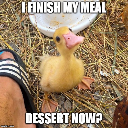 I FINISH MY MEAL; DESSERT NOW? | made w/ Imgflip meme maker