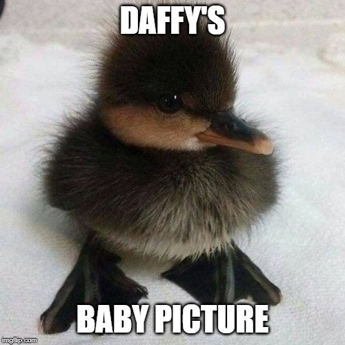 DAFFY'S; BABY PICTURE | made w/ Imgflip meme maker