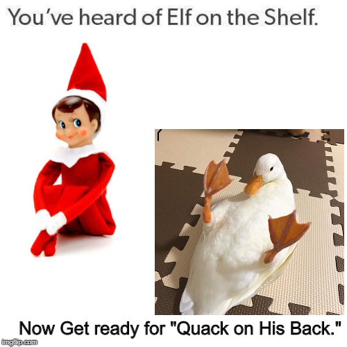 Now Get ready for "Quack on His Back." | made w/ Imgflip meme maker