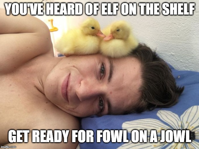YOU'VE HEARD OF ELF ON THE SHELF; GET READY FOR FOWL ON A JOWL | made w/ Imgflip meme maker