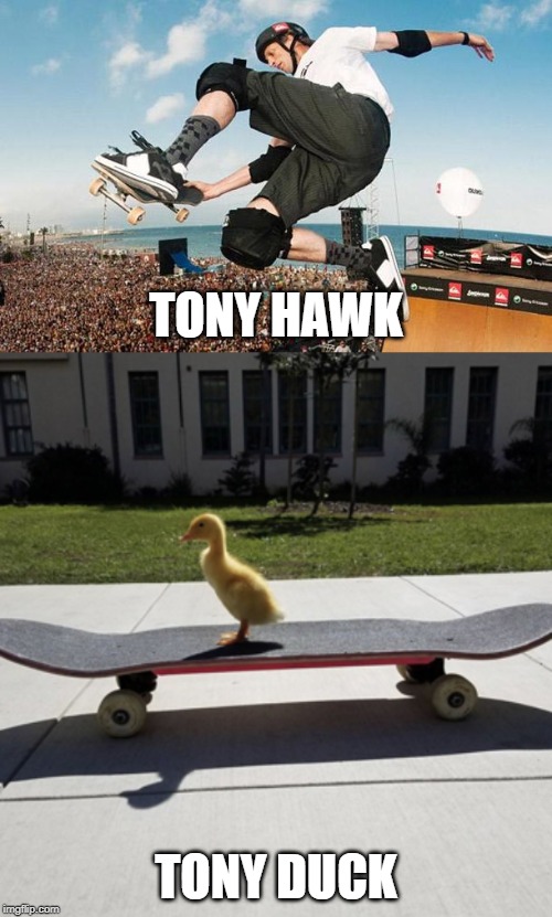 TONY HAWK; TONY DUCK | image tagged in tony hawk | made w/ Imgflip meme maker