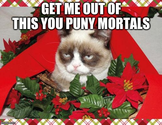 Grumpy Cat Mistletoe | GET ME OUT OF THIS YOU PUNY MORTALS | image tagged in memes,grumpy cat mistletoe,grumpy cat | made w/ Imgflip meme maker
