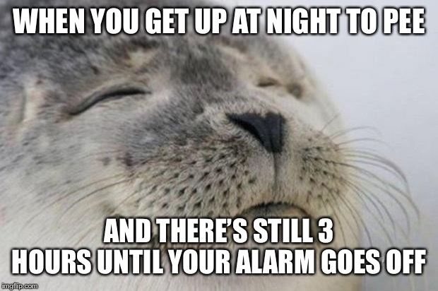 Happy Seal | WHEN YOU GET UP AT NIGHT TO PEE; AND THERE’S STILL 3 HOURS UNTIL YOUR ALARM GOES OFF | image tagged in happy seal,AdviceAnimals | made w/ Imgflip meme maker