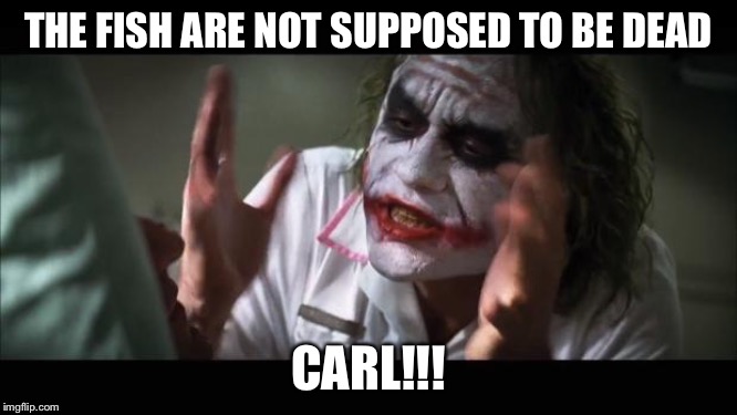 And everybody loses their minds Meme | THE FISH ARE NOT SUPPOSED TO BE DEAD; CARL!!! | image tagged in memes,and everybody loses their minds | made w/ Imgflip meme maker