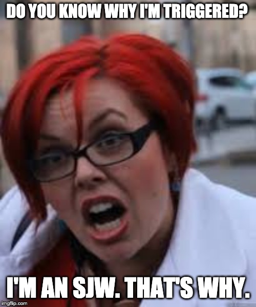 SJW Triggered | DO YOU KNOW WHY I'M TRIGGERED? I'M AN SJW. THAT'S WHY. | image tagged in sjw triggered | made w/ Imgflip meme maker