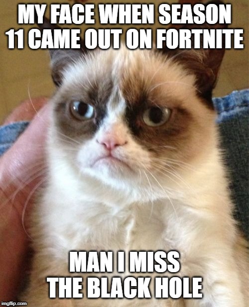 Grumpy Cat | MY FACE WHEN SEASON 11 CAME OUT ON FORTNITE; MAN I MISS THE BLACK HOLE | image tagged in memes,grumpy cat | made w/ Imgflip meme maker