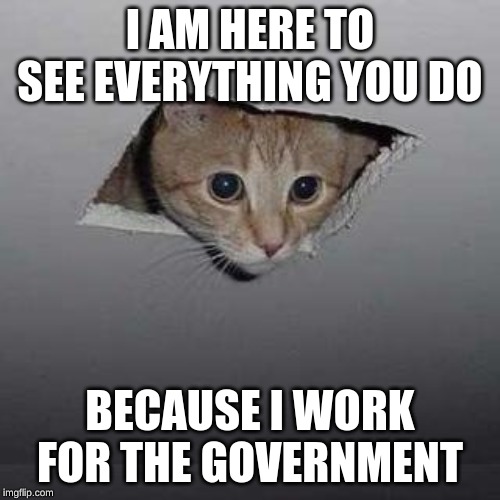 Ceiling Cat | I AM HERE TO SEE EVERYTHING YOU DO; BECAUSE I WORK FOR THE GOVERNMENT | image tagged in memes,ceiling cat | made w/ Imgflip meme maker