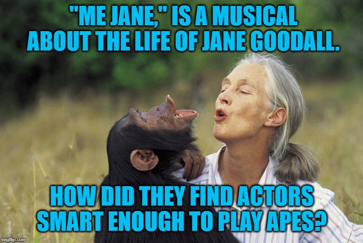 Jane Goodall | "ME JANE," IS A MUSICAL ABOUT THE LIFE OF JANE GOODALL. HOW DID THEY FIND ACTORS SMART ENOUGH TO PLAY APES? | image tagged in jane goodall | made w/ Imgflip meme maker