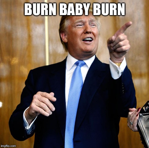 Donal Trump Birthday | BURN BABY BURN | image tagged in donal trump birthday | made w/ Imgflip meme maker