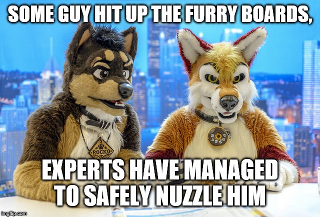 Furry News | SOME GUY HIT UP THE FURRY BOARDS, EXPERTS HAVE MANAGED TO SAFELY NUZZLE HIM | image tagged in furry news | made w/ Imgflip meme maker