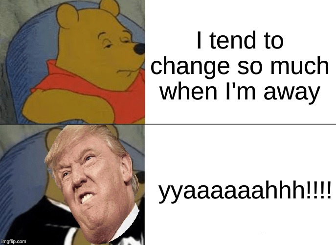 Tuxedo Winnie The Pooh Meme | I tend to change so much when I'm away; yyaaaaaahhh!!!! | image tagged in memes,tuxedo winnie the pooh | made w/ Imgflip meme maker
