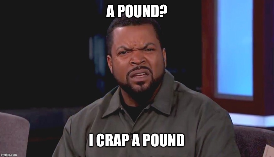 Really? Ice Cube | A POUND? I CRAP A POUND | image tagged in really ice cube | made w/ Imgflip meme maker