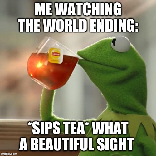 But That's None Of My Business | ME WATCHING THE WORLD ENDING:; *SIPS TEA* WHAT A BEAUTIFUL SIGHT | image tagged in memes,kermit the frog | made w/ Imgflip meme maker