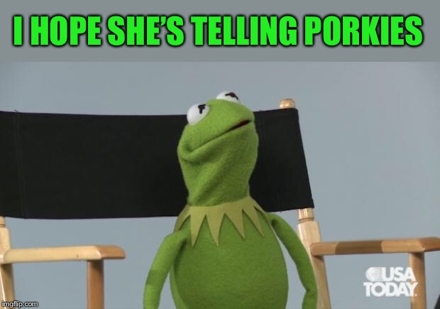 Kermit scared look | I HOPE SHE’S TELLING PORKIES | image tagged in kermit scared look | made w/ Imgflip meme maker