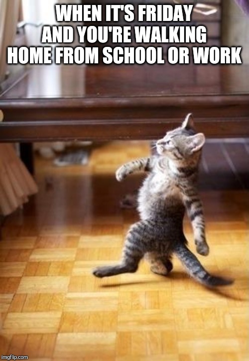 Cool Cat Stroll Meme | WHEN IT'S FRIDAY AND YOU'RE WALKING HOME FROM SCHOOL OR WORK | image tagged in memes,cool cat stroll | made w/ Imgflip meme maker